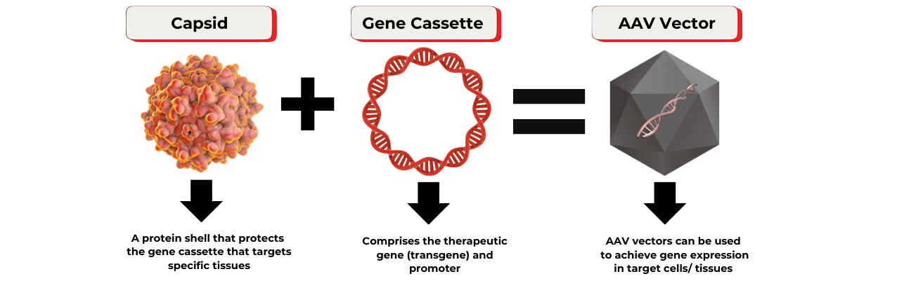 how gene therapy is delivered