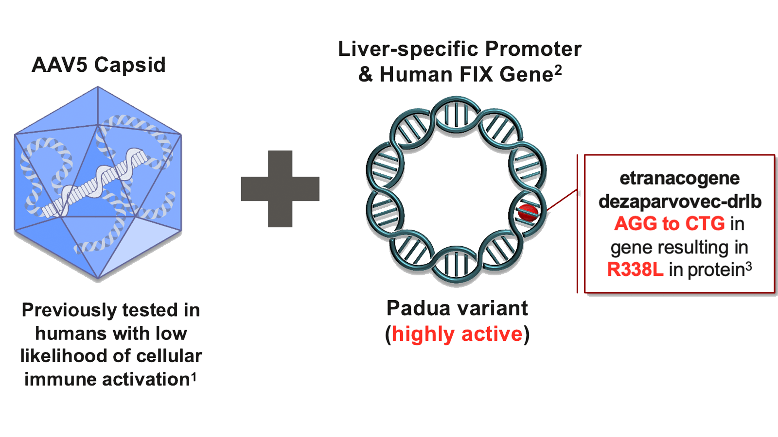 What is HEMGENIX?