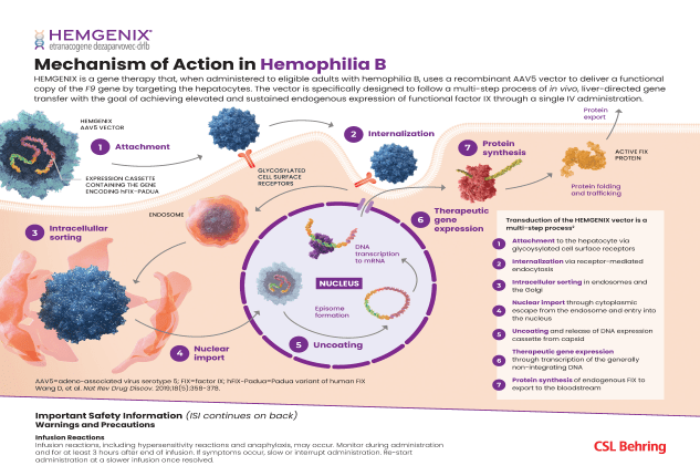 MOA-Infographic-Gene-Therapy-Hemophilia-B