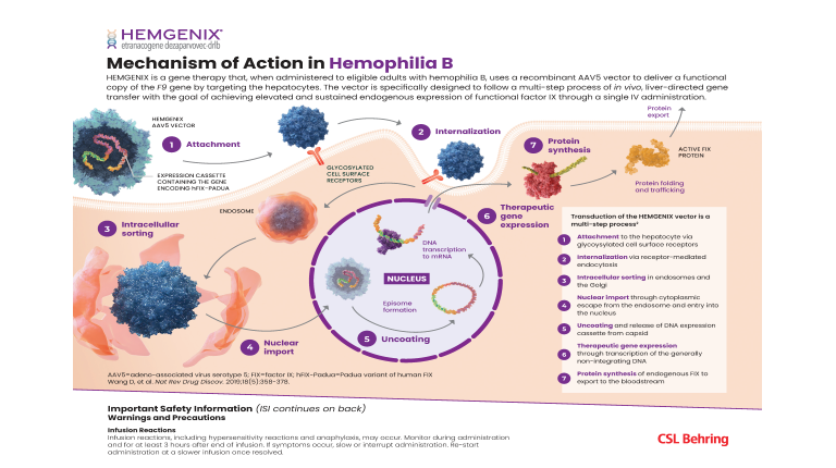 MOA-Infographic-Gene-Therapy-Hemophilia-B