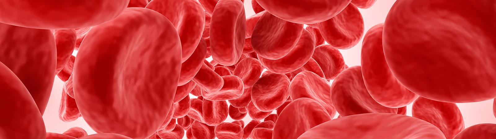 Red blood cells