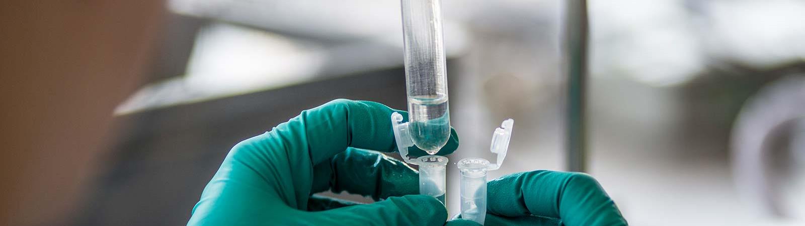 Image of syringe and pipets