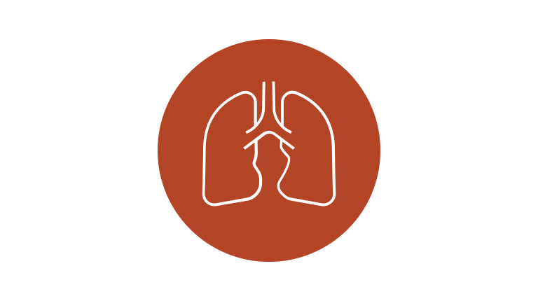 Respiratory icon