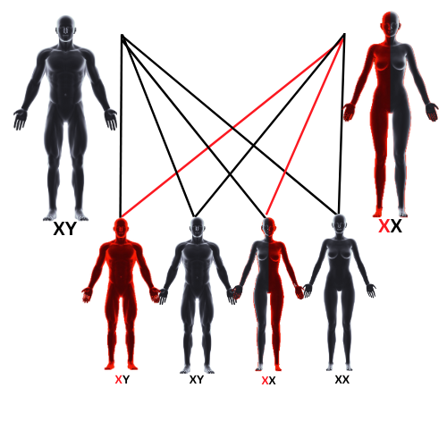 mode of inheritance 2