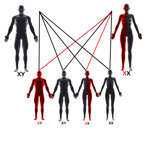 mode of inheritance 2