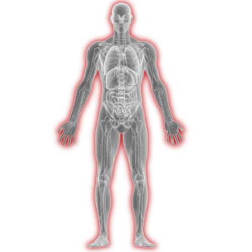 What is PID Body