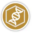 Gene Therapy Vector Design