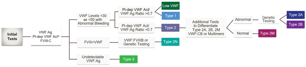 chart of diagnositic process to determine von Willebrand Disease